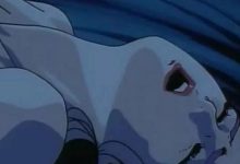 字母圈防骗攻略-瘾欢