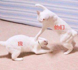 瘾欢字母圈字母圈概念百科全书,看完直接毕业 瘾欢字母圈字母圈概念百科全书,看完直接毕业