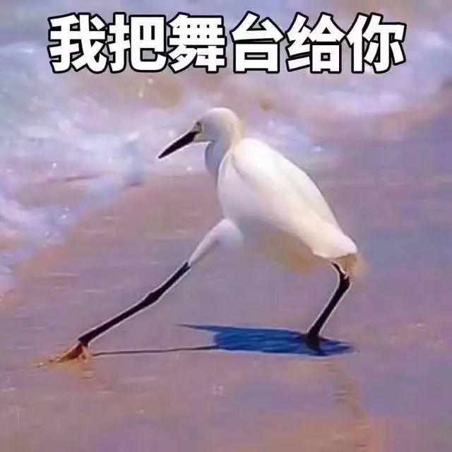 瘾欢字母圈这些BGM比微醺的酒还让人欲罢不能 瘾欢字母圈这些BGM比微醺的酒还让人欲罢不能