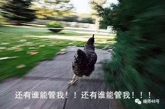 瘾欢字母圈还记得你童年时的SM属性是怎样觉醒的吗? 瘾欢字母圈还记得你童年时的SM属性是怎样觉醒的吗?