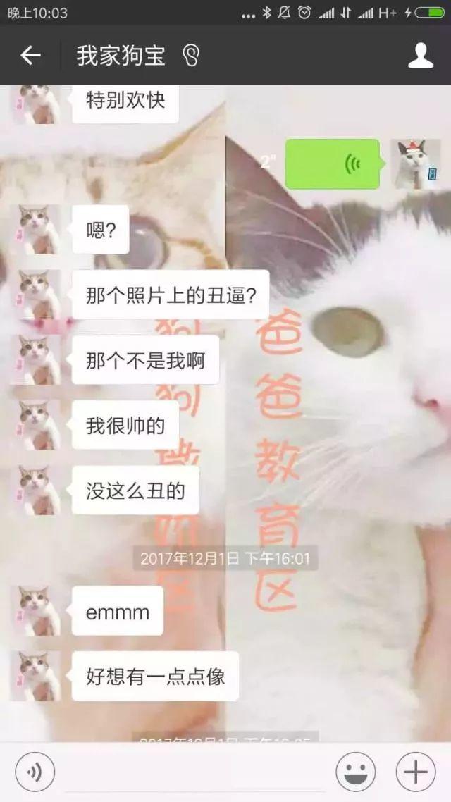 瘾欢字母圈有个“小奶狗”男M是种怎样的体验? 瘾欢字母圈有个“小奶狗”男M是种怎样的体验?