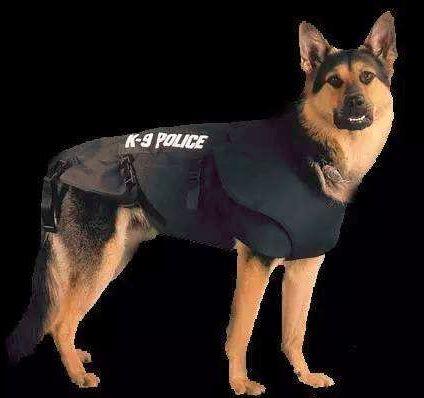 瘾欢字母圈字母圈概念百科全书,看完直接毕业 瘾欢字母圈字母圈概念百科全书,看完直接毕业