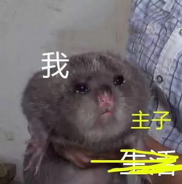 瘾欢字母圈有种属性叫做“皮一下是我爱你的方式”