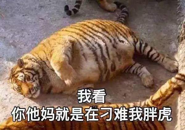 瘾欢字母圈第一次实践,大家都做过哪些丧心病狂的准备? 瘾欢字母圈第一次实践,大家都做过哪些丧心病狂的准备?