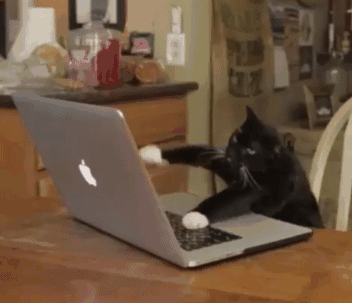 瘾欢字母圈理工学霸都是怎么玩SM的 瘾欢字母圈理工学霸都是怎么玩SM的