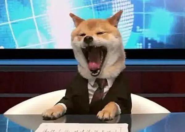 瘾欢字母圈字母圈概念百科全书,看完直接毕业 瘾欢字母圈字母圈概念百科全书,看完直接毕业