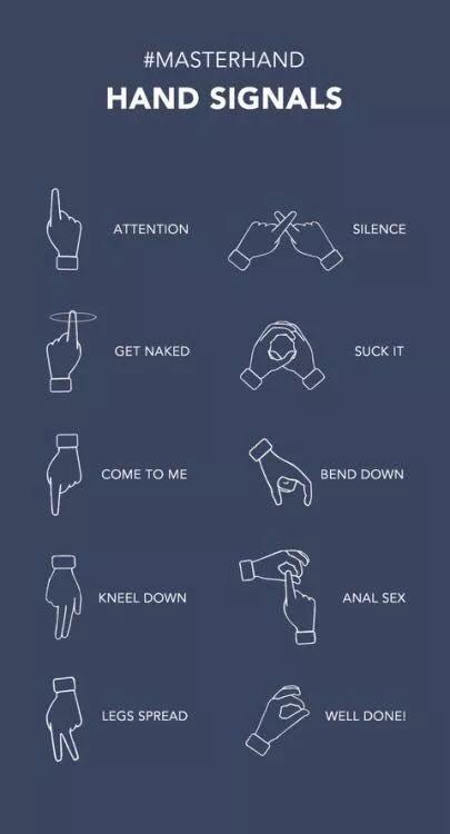 瘾欢字母圈你把宠物当成人，我却和人扮演宠物