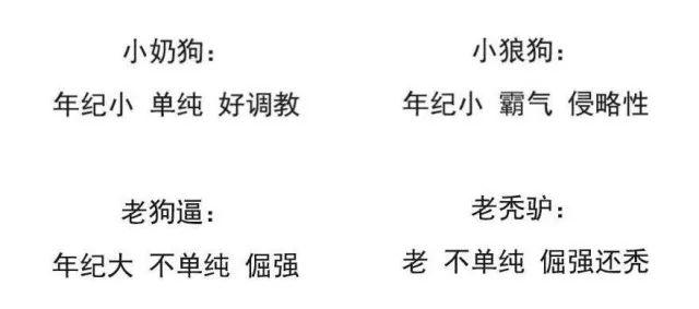 瘾欢字母圈有个“小奶狗”男M是种怎样的体验? 瘾欢字母圈有个“小奶狗”男M是种怎样的体验?