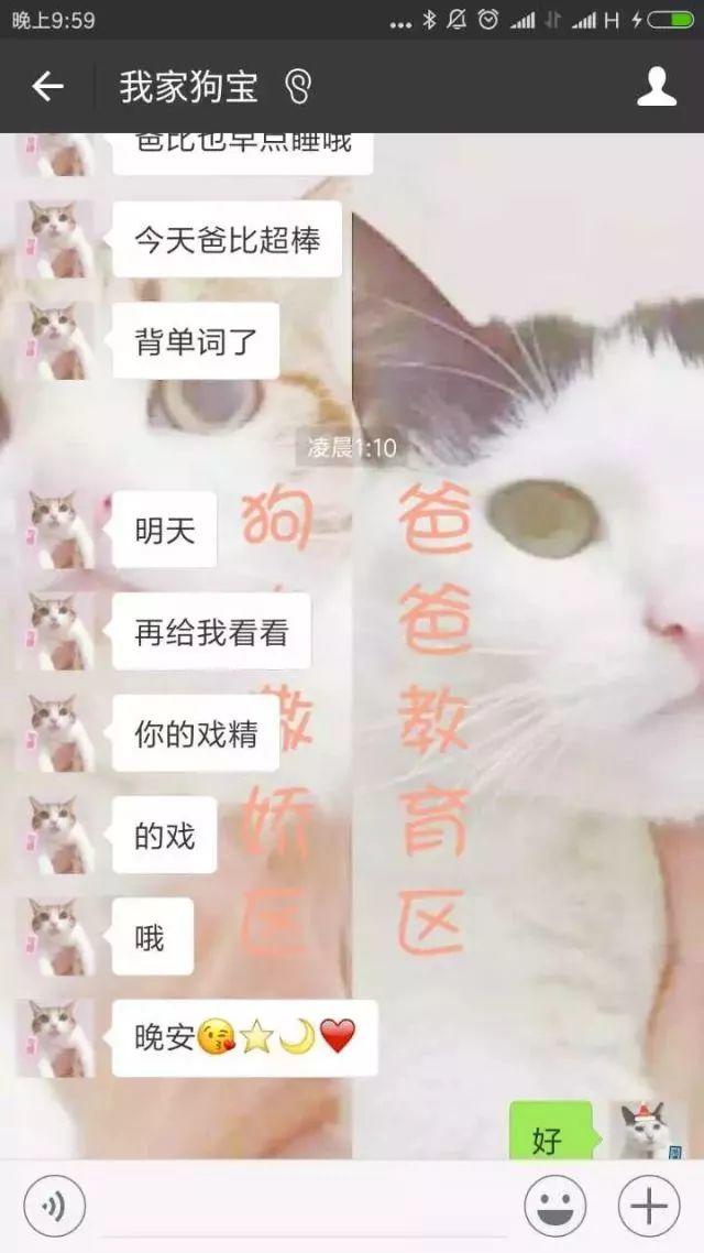 瘾欢字母圈有个“小奶狗”男M是种怎样的体验? 瘾欢字母圈有个“小奶狗”男M是种怎样的体验?