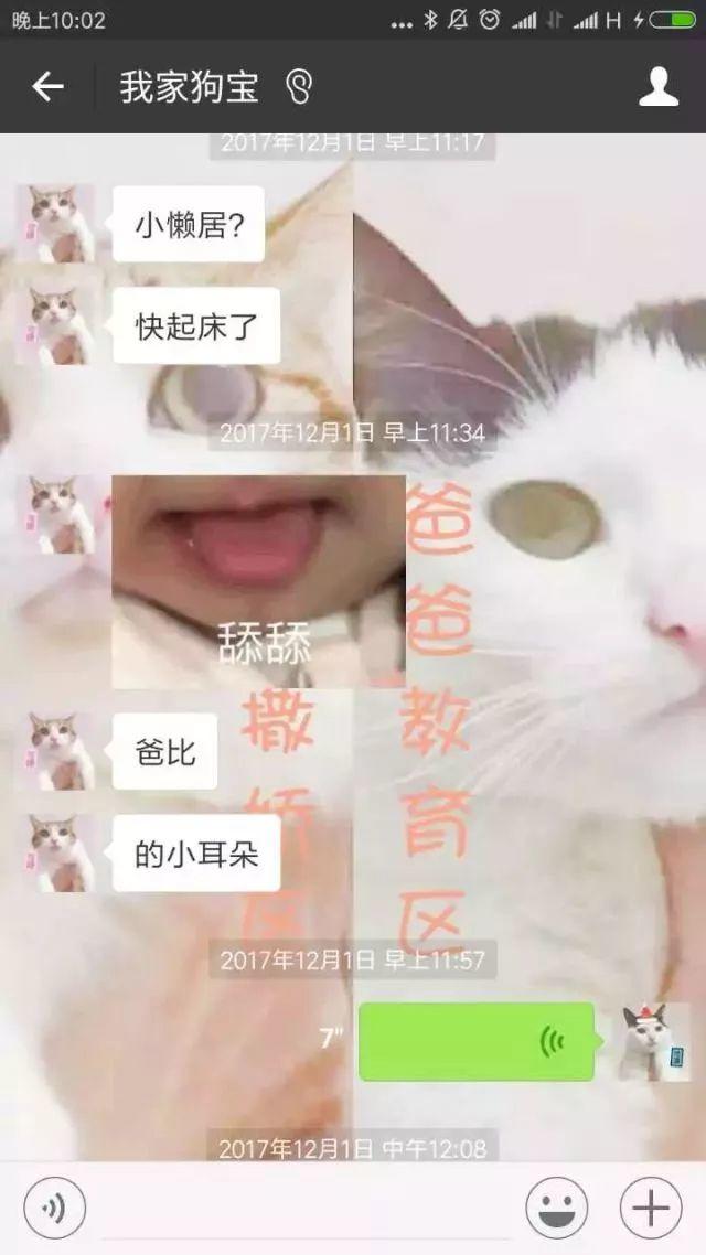 瘾欢字母圈有个“小奶狗”男M是种怎样的体验? 瘾欢字母圈有个“小奶狗”男M是种怎样的体验?