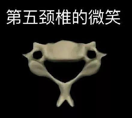 瘾欢字母圈理工学霸都是怎么玩SM的 瘾欢字母圈理工学霸都是怎么玩SM的