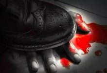 字母圈BDSM真实故事 · 我差一点成为陈世峰-瘾欢