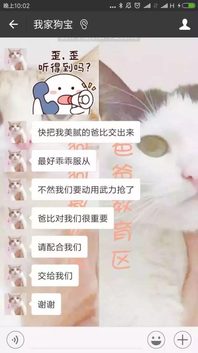 瘾欢字母圈有个“小奶狗”男M是种怎样的体验? 瘾欢字母圈有个“小奶狗”男M是种怎样的体验?