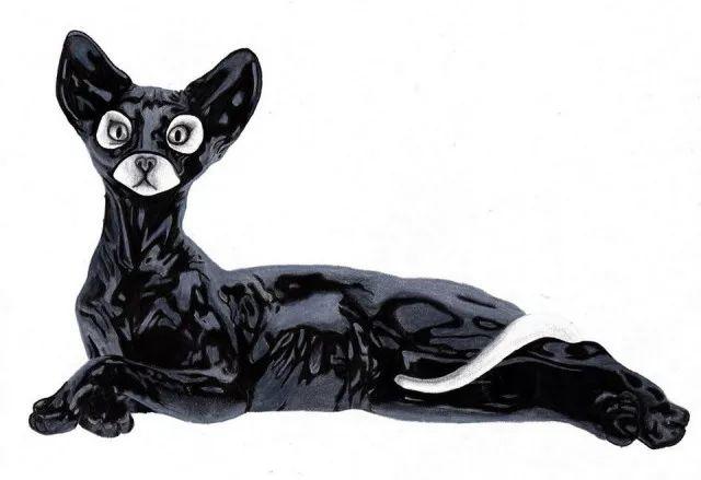 瘾欢字母圈手滑暴露属性的经历比打PP刺激多了