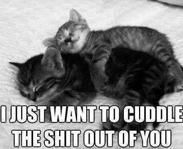 瘾欢字母圈虐后安抚,你和你家S之前可能都忽视了这件事 瘾欢字母圈虐后安抚,你和你家S之前可能都忽视了这件事