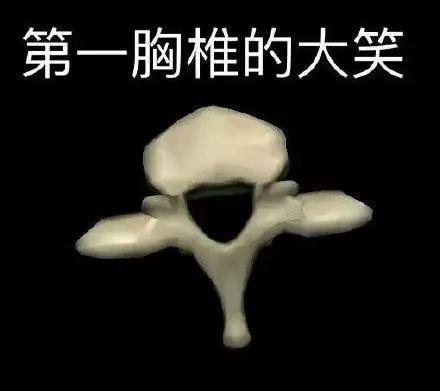 瘾欢字母圈理工学霸都是怎么玩SM的 瘾欢字母圈理工学霸都是怎么玩SM的