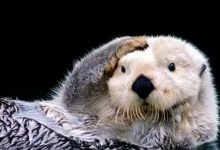 字母圈调教如何能省钱?那就是······别在这些东西上花钱!-瘾欢