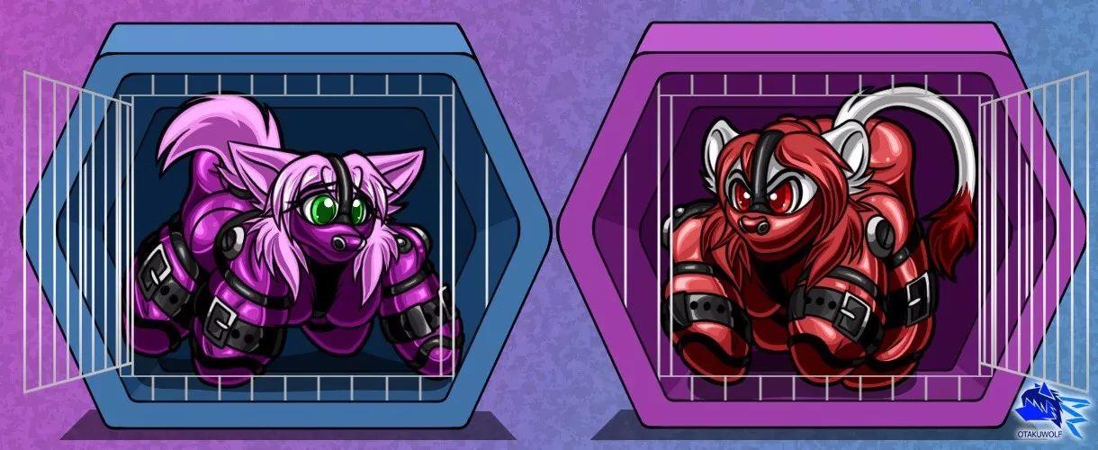 瘾欢字母圈你把宠物当成人，我却和人扮演宠物