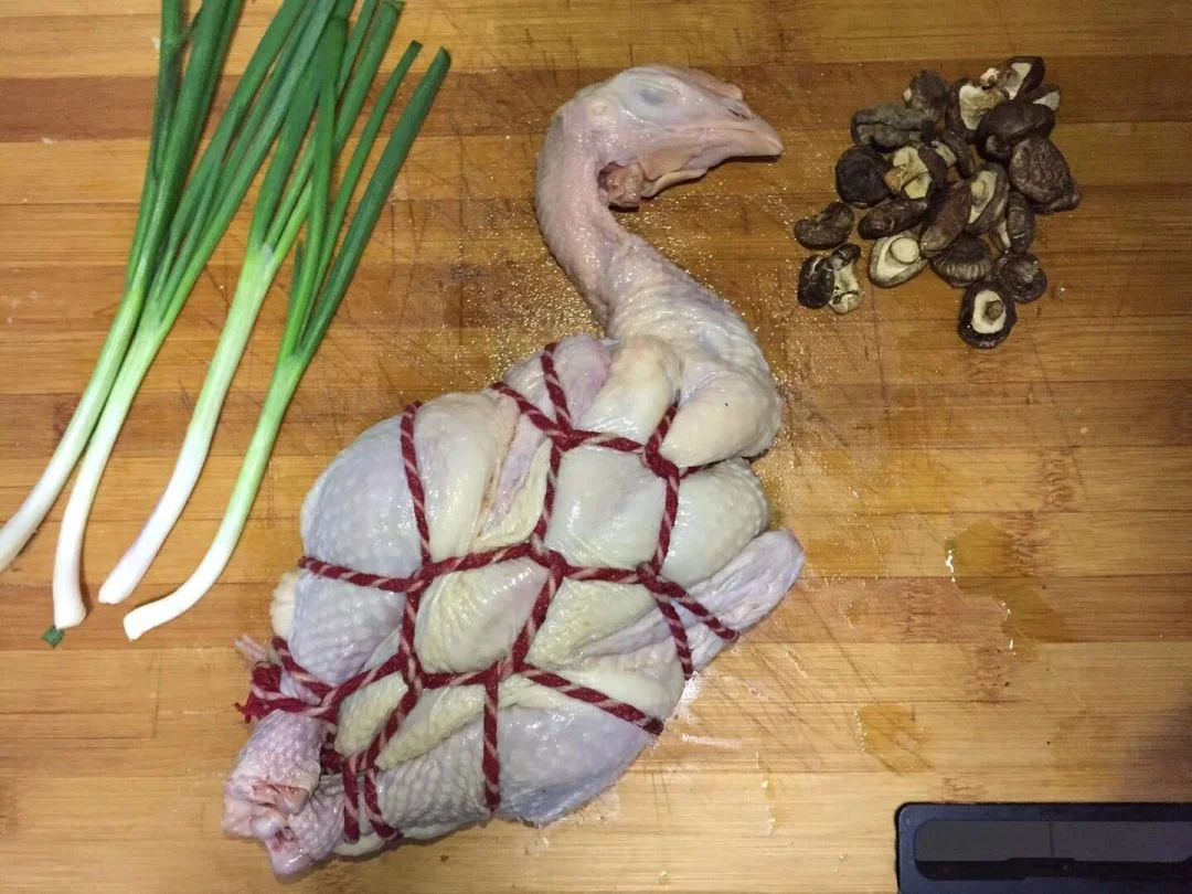 瘾欢字母圈绳缚学习干货,零基础也能学会!奇怪的技艺又增加了! 瘾欢字母圈绳缚学习干货,零基础也能学会!奇怪的技艺又增加了!