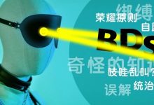 谈谈bdsm,深入浅出地理解sm、dom、sub等概念的区别-瘾欢