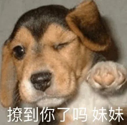 瘾欢字母圈第四爱 | 爱“上”男生的女孩+爱被爆菊的男孩=??? 瘾欢字母圈第四爱 | 爱“上”男生的女孩+爱被爆菊的男孩=???