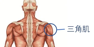 瘾欢字母圈绳缚学习干货,零基础也能学会!奇怪的技艺又增加了! 瘾欢字母圈绳缚学习干货,零基础也能学会!奇怪的技艺又增加了!