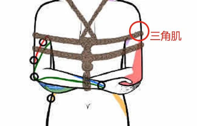 瘾欢字母圈绳缚学习干货,零基础也能学会!奇怪的技艺又增加了! 瘾欢字母圈绳缚学习干货,零基础也能学会!奇怪的技艺又增加了!