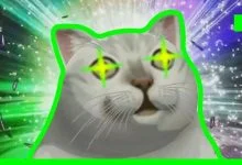 绳缚学习干货,零基础也能学会!——绳缚学习的基本注意事项-瘾欢