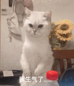 瘾欢字母圈你的S会向你认错吗? 瘾欢字母圈你的S会向你认错吗?