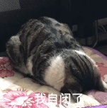 瘾欢字母圈你的S会向你认错吗? 瘾欢字母圈你的S会向你认错吗?