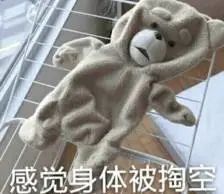 瘾欢字母圈双属性的快乐你不懂:我胃口大,既馋S,又馋M 瘾欢字母圈双属性的快乐你不懂:我胃口大,既馋S,又馋M