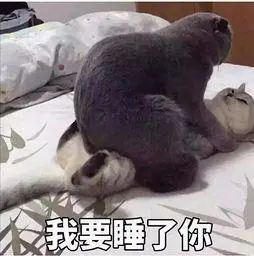 瘾欢字母圈双属性的快乐你不懂:我胃口大,既馋S,又馋M 瘾欢字母圈双属性的快乐你不懂:我胃口大,既馋S,又馋M