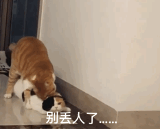 瘾欢字母圈你的S会向你认错吗? 瘾欢字母圈你的S会向你认错吗?