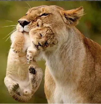 字母圈“皮上天”是M的专利?S第一个表示不服气 字母圈“皮上天”是M的专利?S第一个表示不服气