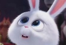 字母圈我在“高收入群”亲眼所见：所谓大叔S，中年男人不加掩饰的丑恶嘴脸-瘾欢