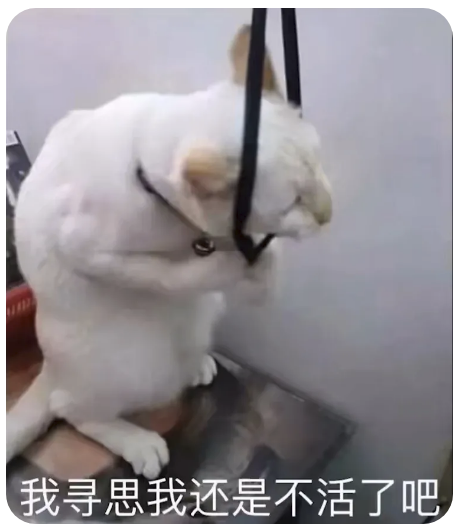 字母圈屈辱“虐心”小性癖:被伴侣绿了,我却爽得不行???? 字母圈屈辱“虐心”小性癖:被伴侣绿了,我却爽得不行????