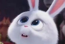 S也分攻和受，M也分0和1？？？-瘾欢