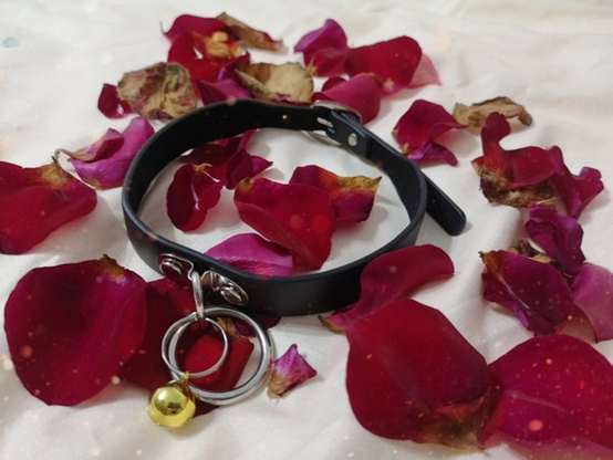 字母圈“调教到一半，他非得给我剪指甲[翻白眼]”——SMer的四季