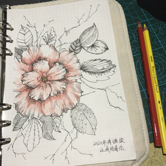 字母圈“调教到一半，他非得给我剪指甲[翻白眼]”——SMer的四季