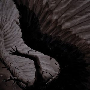 什么是Switch? 什么是Switch?