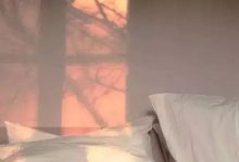 字母圈听说，你和你的S还不熟！？-瘾欢