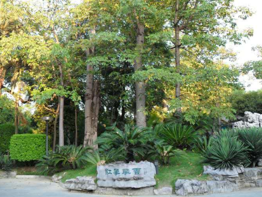 字母圈被骗多次后，我放弃找主人了