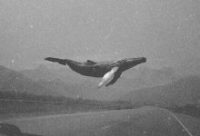 字母圈相处不完全编录-瘾欢