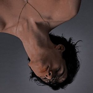 进化domsub控制手册 进化domsub控制手册