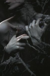 dom/sub 权力交换 dom/sub 权力交换