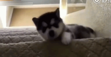 字母圈字母圈现状:一人交友,十人痛苦 字母圈字母圈现状:一人交友,十人痛苦