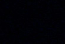 “主人给了我一个家”-瘾欢