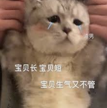 字母圈“dom/sub字母圈DDLG 字母圈“dom/sub字母圈DDLG