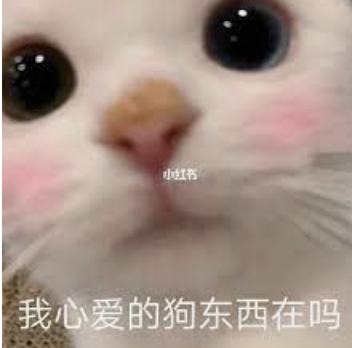 字母圈“dom/sub字母圈DDLG 字母圈“dom/sub字母圈DDLG