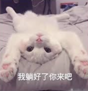 字母圈“dom/sub字母圈DDLG 字母圈“dom/sub字母圈DDLG